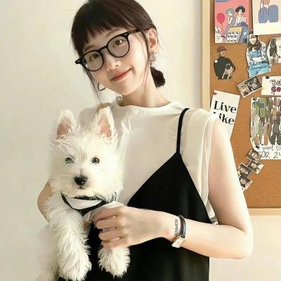 持续更新